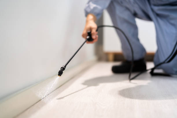 Licensed Cockroach Control service in Brookville, OH - Nex Pest Control