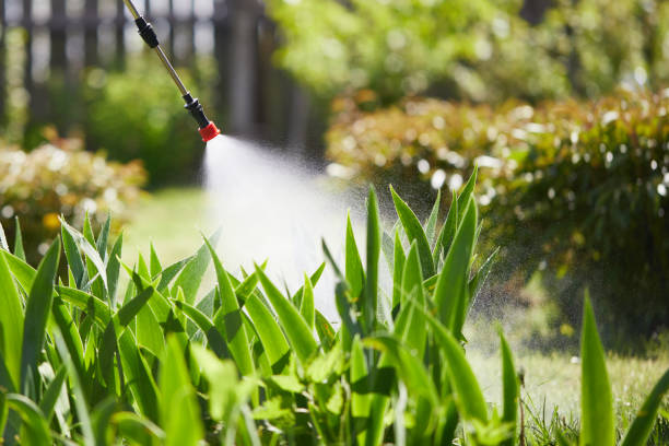 24/7 Emergency Cockroach Control experts in Brookville, OH